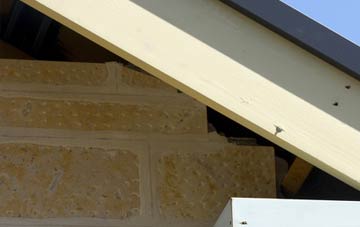 soffit repair Erskine